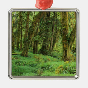 Adorno Metálico WA, policía olímpica, bosque de lluvia Quinault,