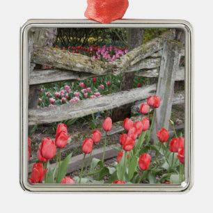 Adorno Metálico WA, Valle de Skagit, Jardín de Tulipanes Roozengaa