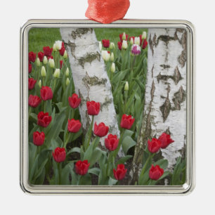 Adorno Metálico WA, Valle de Skagit, Jardín de Tulipanes Roozengaa