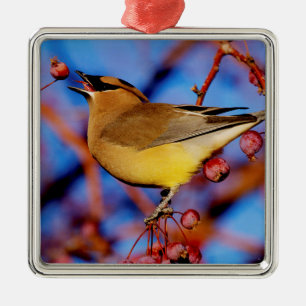 Adorno Metálico Waxwing de cedro