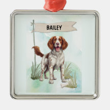 Welsh Springer Spaniel Acuarela Perro Personalizad