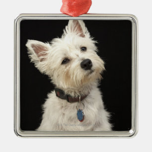 Adorno Metálico Westie (West Highland terrier) con cuello