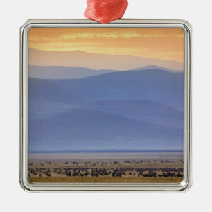 Adorno Metálico Wildebeest durante la migración, Connochaetes