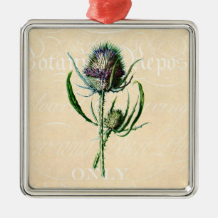 Adorno Metálico Wildflower de la antigüedad del cardo del escocé