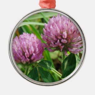Adorno Metálico Wildflower rosado del trébol - pratense del