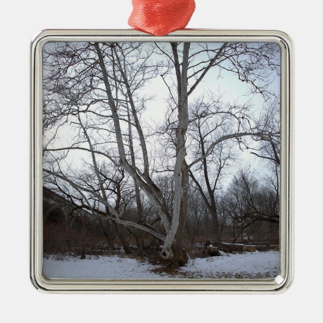 Adorno Metálico Winter Tree in Snow Ornament (Frente)