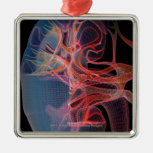 Adorno Metálico Wireframe del interior de un riñón