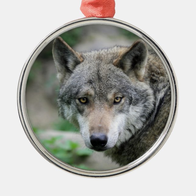 Adorno Metálico Wolf_011 (Frente)