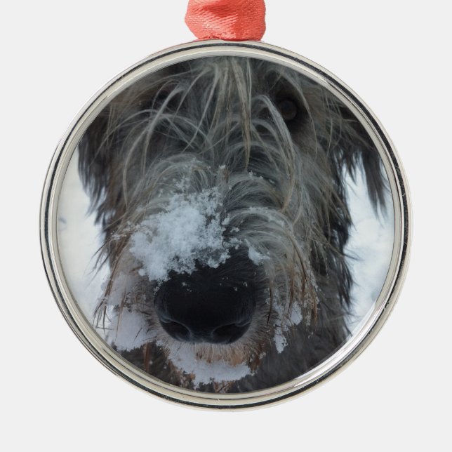 Adorno Metálico wolfhound irlandés que juega en la nieve (Frente)