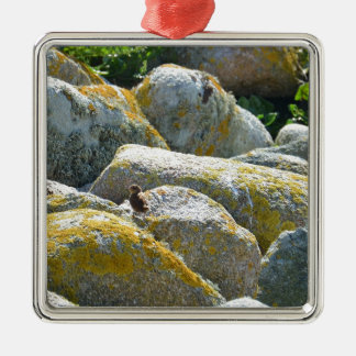 Adorno Metálico Wren