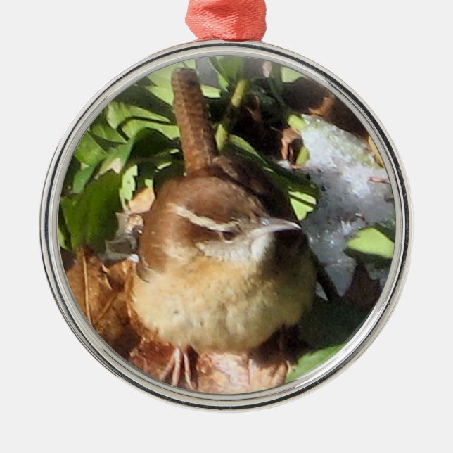 Adorno Metálico Wren de invierno (Frente)