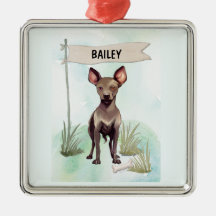 Xoloitzcuintli Acuarela Perro Personalizado