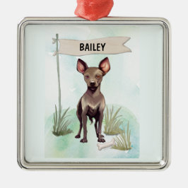 Adorno Metálico Xoloitzcuintli Watercolor Personalized Dog