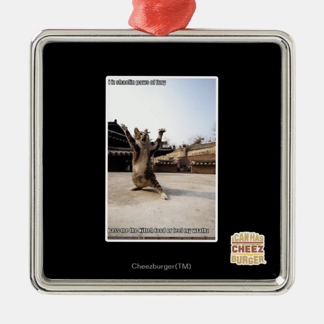 Adorno Metálico Yo soy unas patas de caolín de furia (Frente)