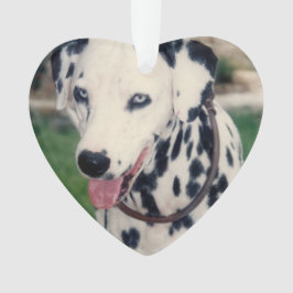 Adorno Mi Mascota amigo sube tu propio Personalizado de f