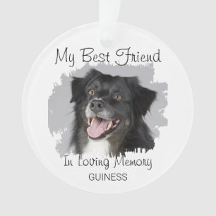 Adorno Mi Mejor Amigo   Memorial de Mascota