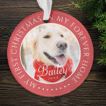 Adorno Mi primera Mascota navideña para siempre - moderna<br><div class="desc">Este diseño simple y clásico está compuesto por tipografía de la síspera y agrega una foto personalizado. "Mi primera Navidad en mi casa para siempre" rodea la foto del personalizado.</div>