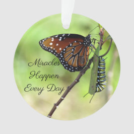 Adorno Milagros Ornamento-Mariposa/Acrílico oruga