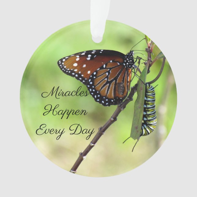 Adorno Milagros Ornamento-Mariposa/Acrílico oruga (Anverso)