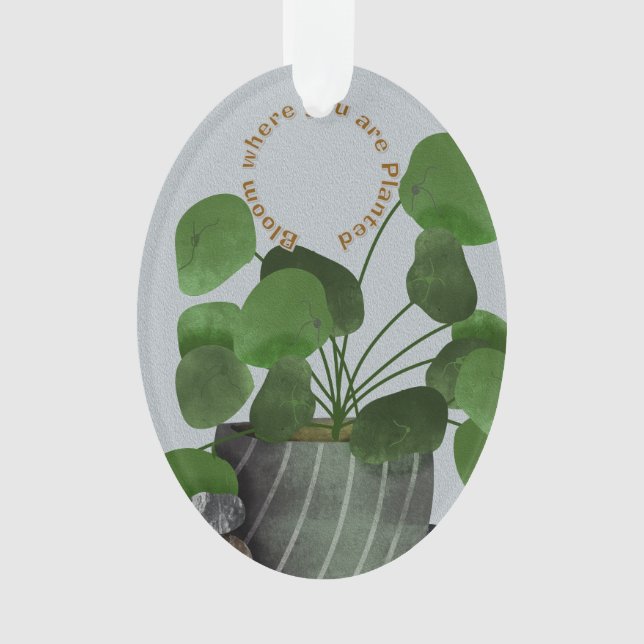 Adorno Minimalist Money Plant - Acrylic Oval Ornament (Anverso)