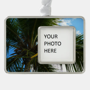 Adorno Mirando hacia la naturaleza tropical de las palmer