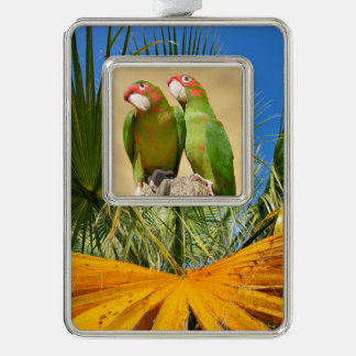 Adorno Mitred Parakeet en madera post Postcard Square Sti
