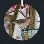 Adorno Mockingbird<br><div class="desc">A Mockingbird enjoying suet on a snowy day.</div>