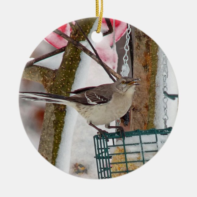 Adorno Mockingbird (Frente)