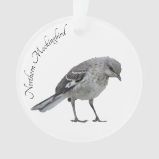 Adorno Mockingbird