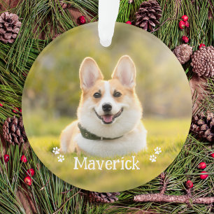 Adorno Moderna y elegante foto de perro Mascota personali