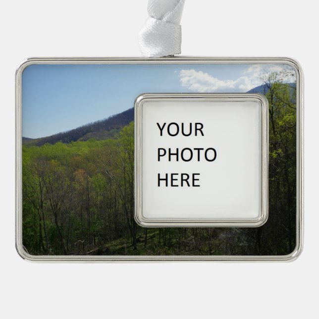 Adorno Montañas humeantes en el paisaje de primavera (Anverso)