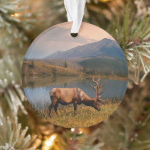 Adorno Montañas   Jacques Mountain Range Alberta Canadá