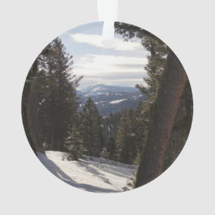 Adorno Montañas Madison en invierno en Montana