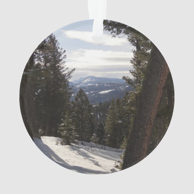 Adorno Montañas Madison en invierno en Montana (Reverso)