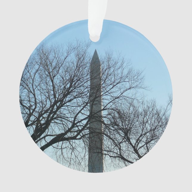 Adorno Monumento a Washington en el paisaje invernal I (Anverso)