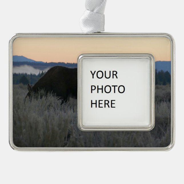 Adorno Moose Grazing at Sunrise at Grand Teton (Anverso)