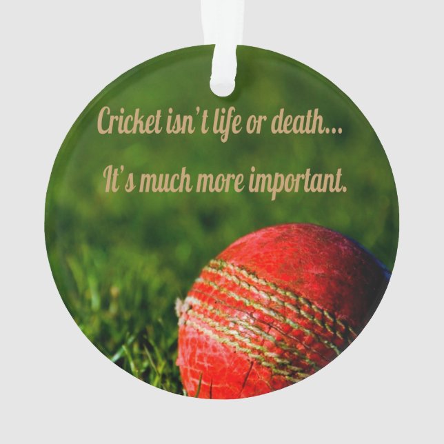 Adorno Motivación divertida del cricket Red Ball (Reverso)