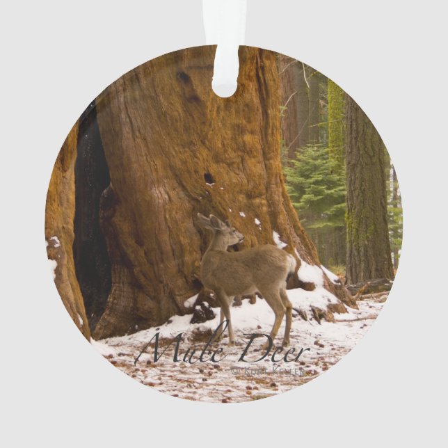 Adorno Mule Deer (Reverso)