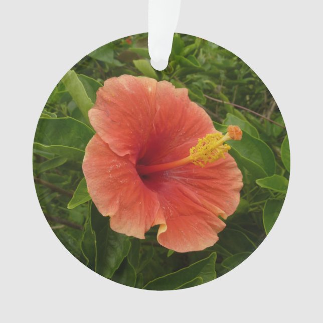 Adorno Naranja Hibiscus Flower Tropical Floral (Anverso)