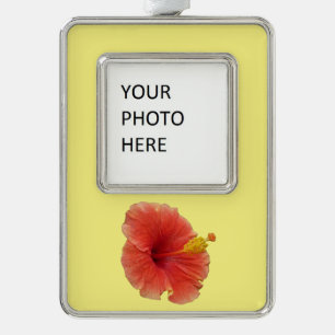 Adorno Naranja Hibiscus Flower Tropical Floral