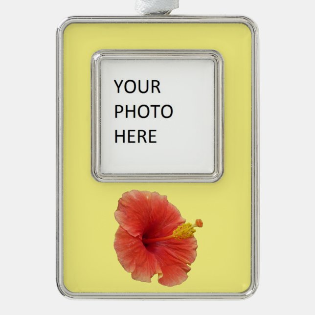 Adorno Naranja Hibiscus Flower Tropical Floral (Anverso)