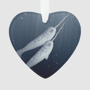Adorno Narwhals lindo que nada junto bajo el agua