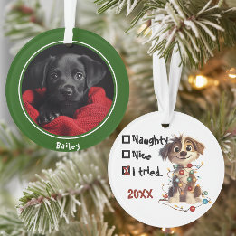 Adorno Naughty Puppy Santa Checklist Green