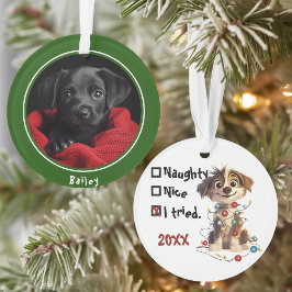 Adorno Naughty Puppy Santa Checklist Green