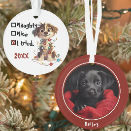 Adorno Naughty Puppy Santa Checklist Red