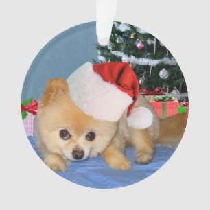 Adorno Navidad, perro de Pomeranian, gorra de Santa
