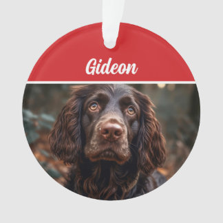 Adorno Navidades de fotografía de Boykin Spaniel Dog Holi