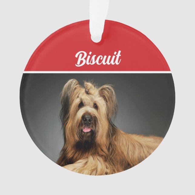 Adorno Navidades de fotografía de Briard Shepherd Dog Hol (Anverso)