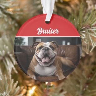 Adorno Navidades de fotografía de feriado bulldog