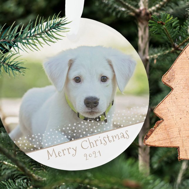 Adorno Navidades de fotografía de Mascota de perro person (Subido por el creador)